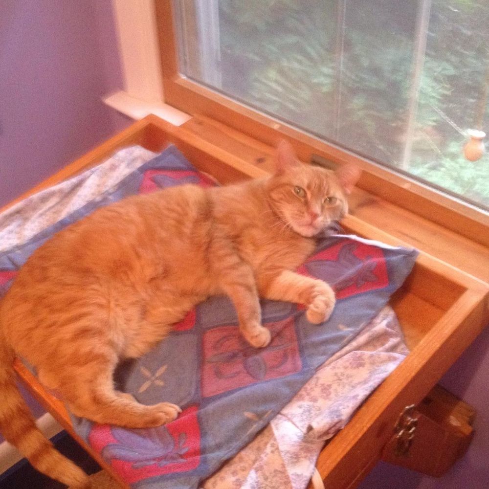 Meet your Posher, Wendy